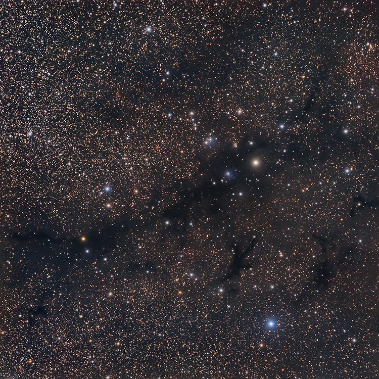 Cygnus Dark Nebulae Field Ldn 998 Experienced Deep Sky Imaging Cloudy Nights 