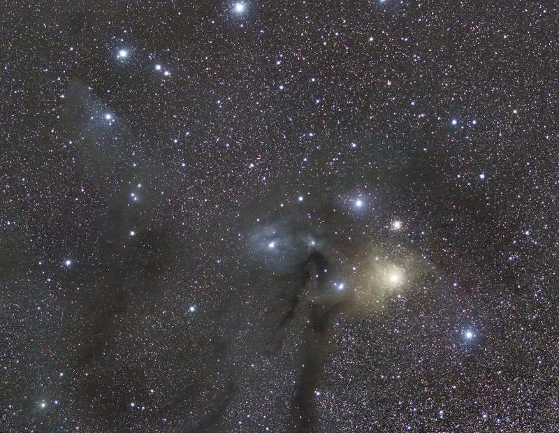 Antares Region - This is a Personal Processing Challenge - DSLR ...