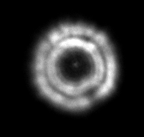 Sct Collimation Confusion About Airy Disk - Cats & Casses - Cloudy Nights