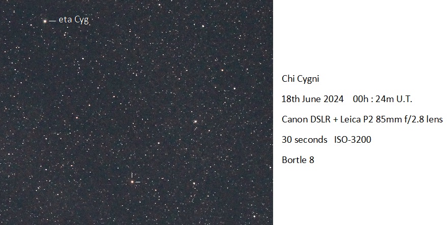 Chi Cygni Maximum - Scientific Amateur Astronomy - Cloudy Nights