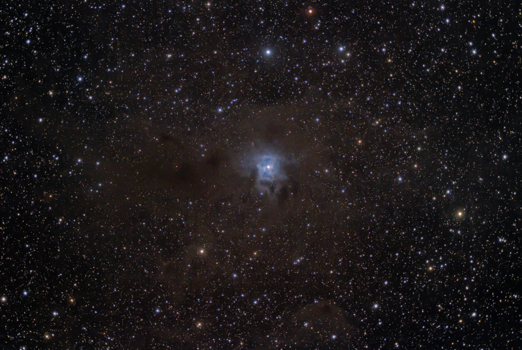 A Blue Iris Nebula - DSLR, Mirrorless & General-Purpose Digital Camera ...