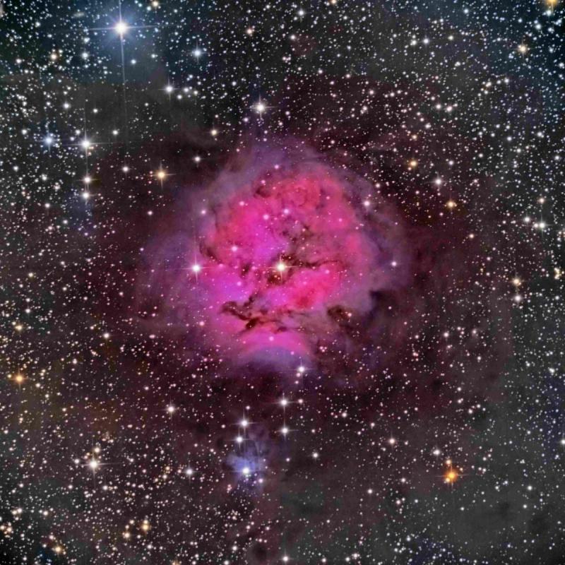 Ic 5146 Cocoon Nebula Experienced Deep Sky Imaging Cloudy Nights 