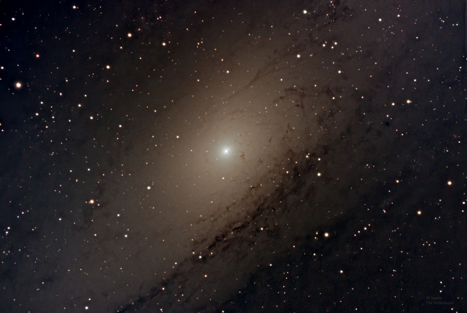 m 31 details