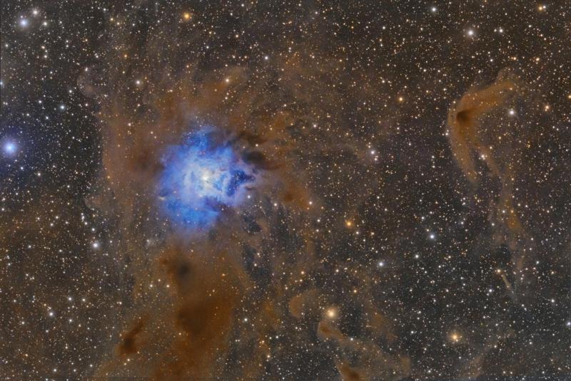 Iris Nebula (NGC 7023) - Experienced Deep Sky Imaging - Cloudy Nights