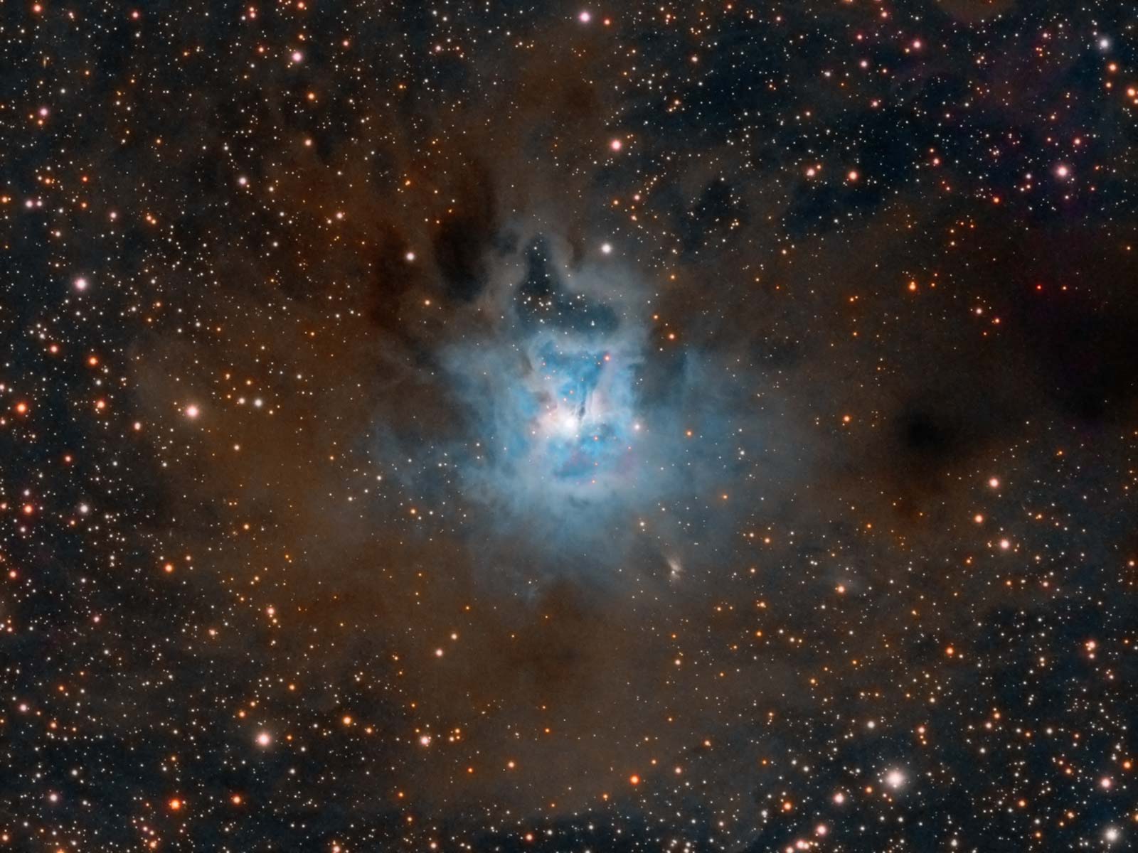 NGC 7023 Iris Nebula - Experienced Deep Sky Imaging - Cloudy Nights