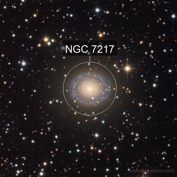 NGC 7217 - Experienced Deep Sky Imaging - Cloudy Nights