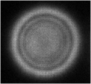 CCD-102 Prüfungsvorbereitung