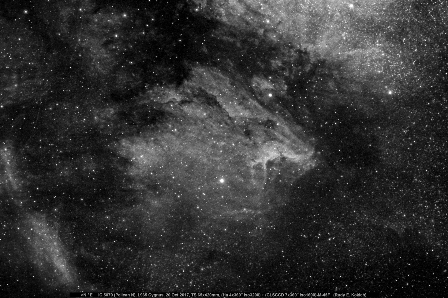 IC 5070 Pelican Nebula, Molecular Cloud L935, Cygnus - Beginning Deep ...