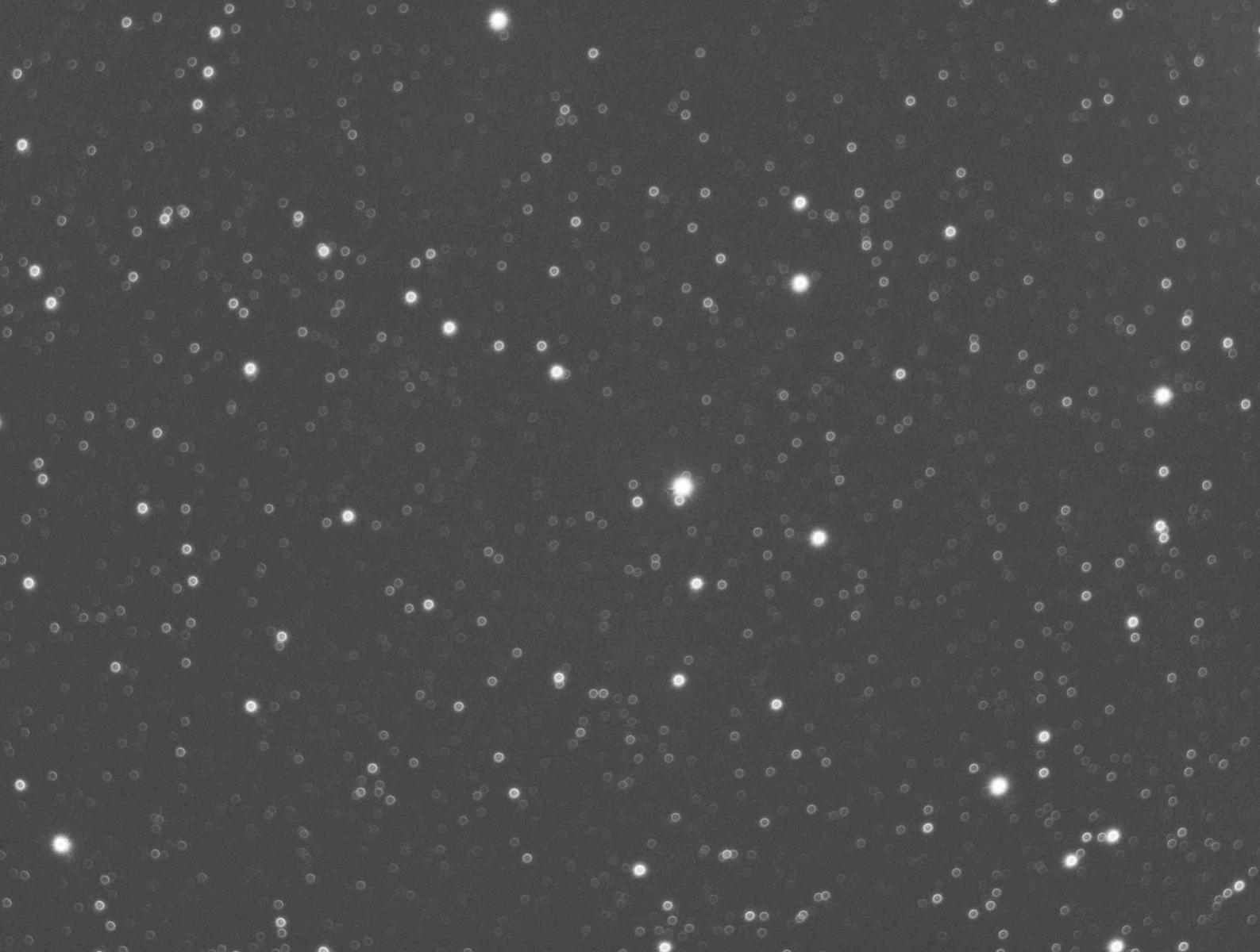 Help me find the aberrations - petzval - Refractors - Cloudy Nights