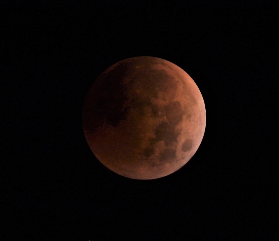 Lunar eclipse shot Nov 8 DSLR, Mirrorless & GeneralPurpose Digital