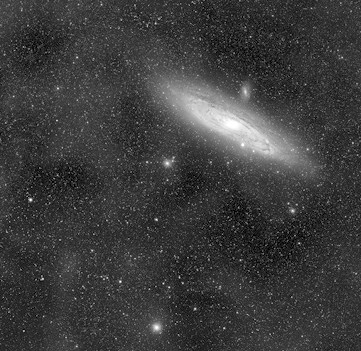 m31 rate