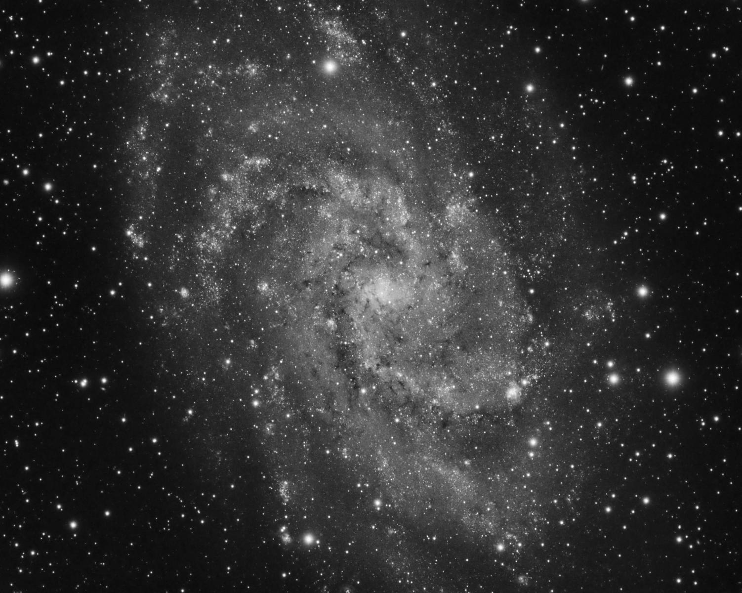 M33 Lum Wip - Beginning Deep Sky Imaging - Cloudy Nights