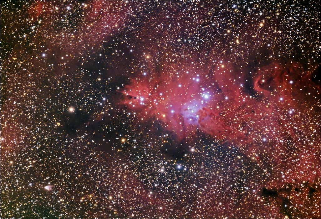 Cone (NGC 2264) And Hubble Nebula With ASI 294 - Experienced Deep Sky ...