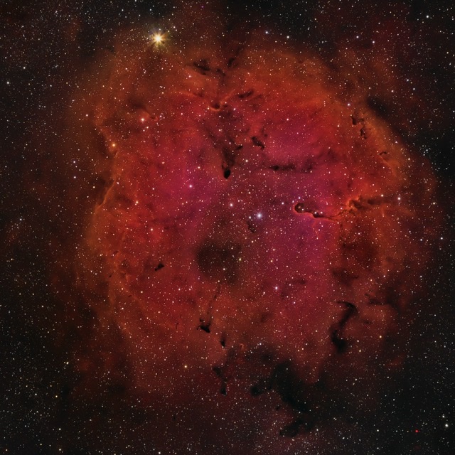 IC1396, Elephant Trunk Nebula - Experienced Deep Sky Imaging - Cloudy