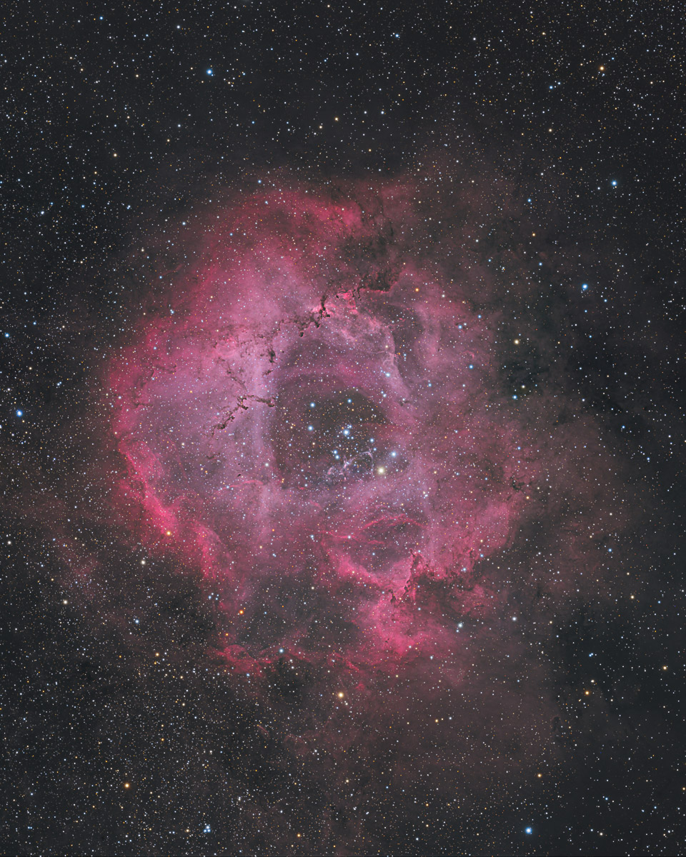 Rosette (Now In Color!) - Experienced Deep Sky Imaging - Cloudy Nights