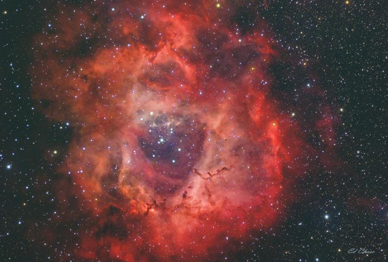 a-christmas-rose-experienced-deep-sky-imaging-cloudy-nights