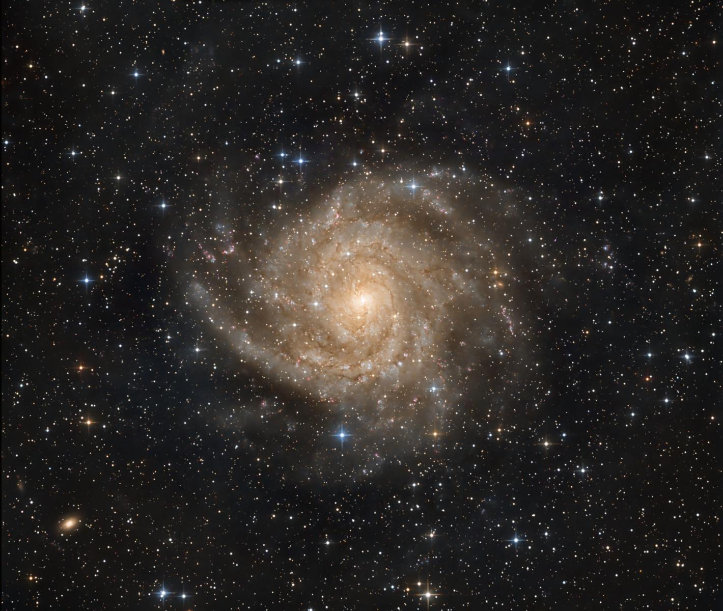 The Hidden Galaxy - IC342 - Experienced Deep Sky Imaging - Cloudy Nights